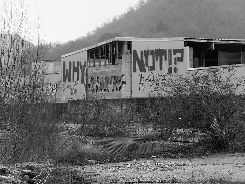 WHY NOT ( drawing on the wall ) Como 2019